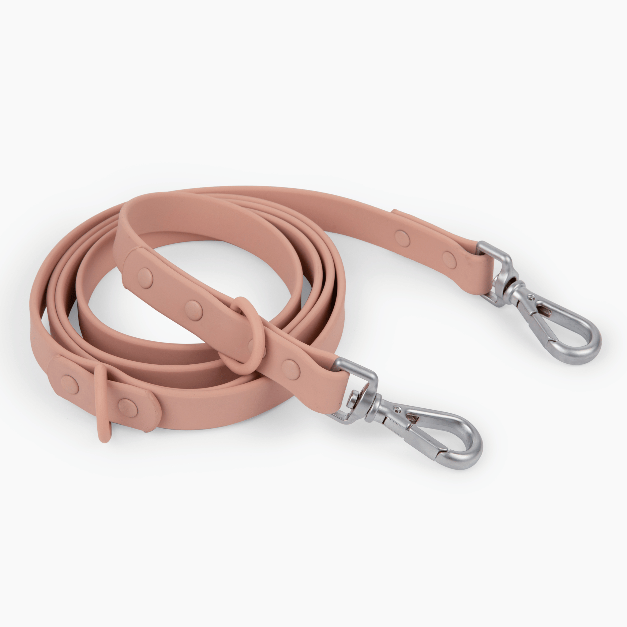 Lucky Paws - Leash