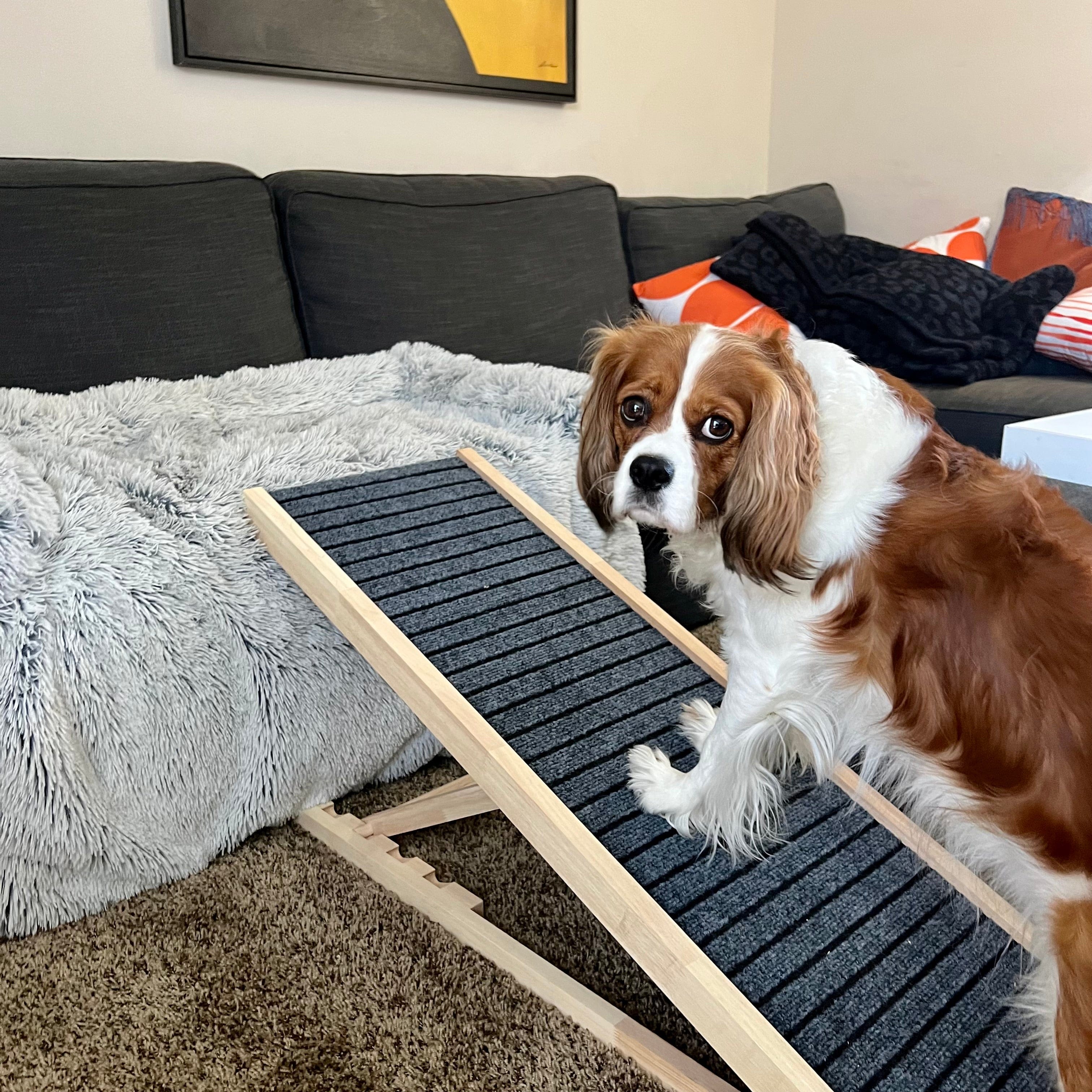 Dog Ramp for Bed & Couch Furniture Adjustable Non-Slip PupRamp PawRamp
