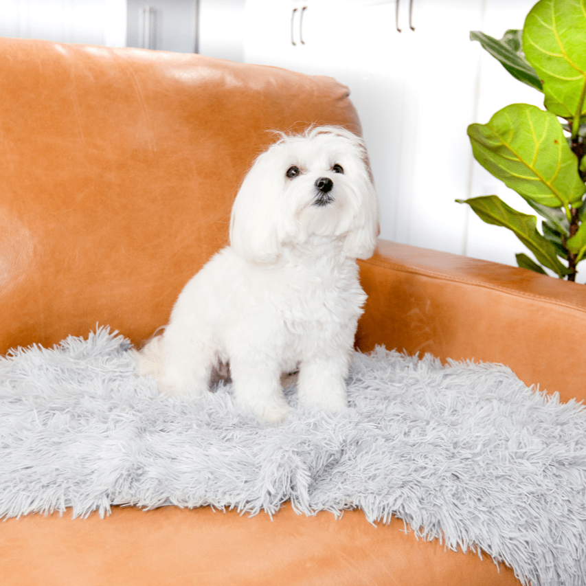 Calming blanket for dogs best sale