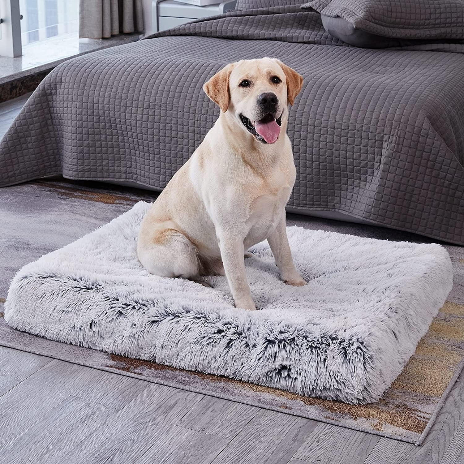 Lucky Monet Small Dog Beds 21 x 12, Fluffy Calming Dog Bed Washable Dog  Crate Mat Plush Rectangle Pet Bed with Anti-Slip Backing, Long Plush Pet