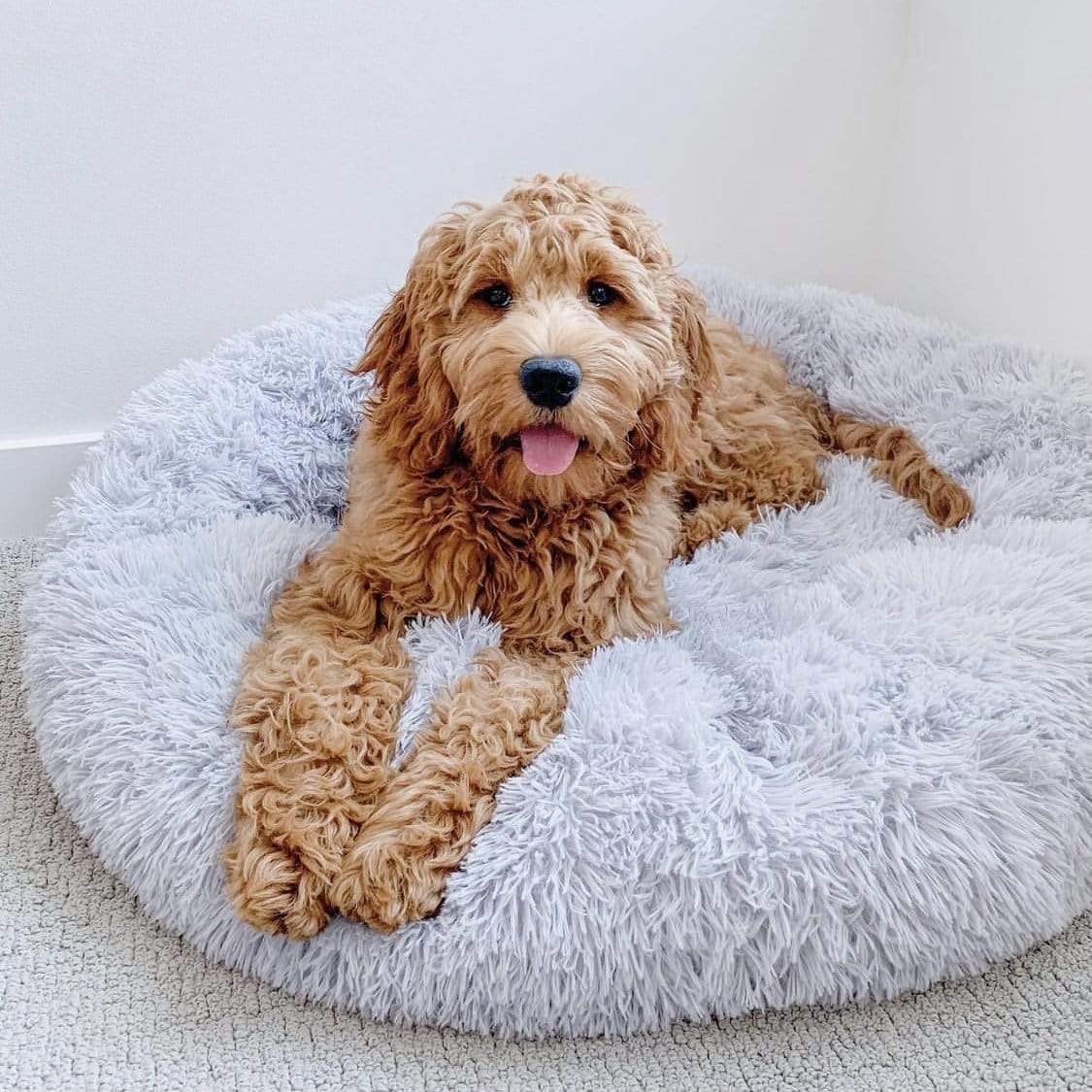 Anti-Anxiety Calming Bed for Dogs Comfy Fur Donut Cuddler Cozy Pet Bed