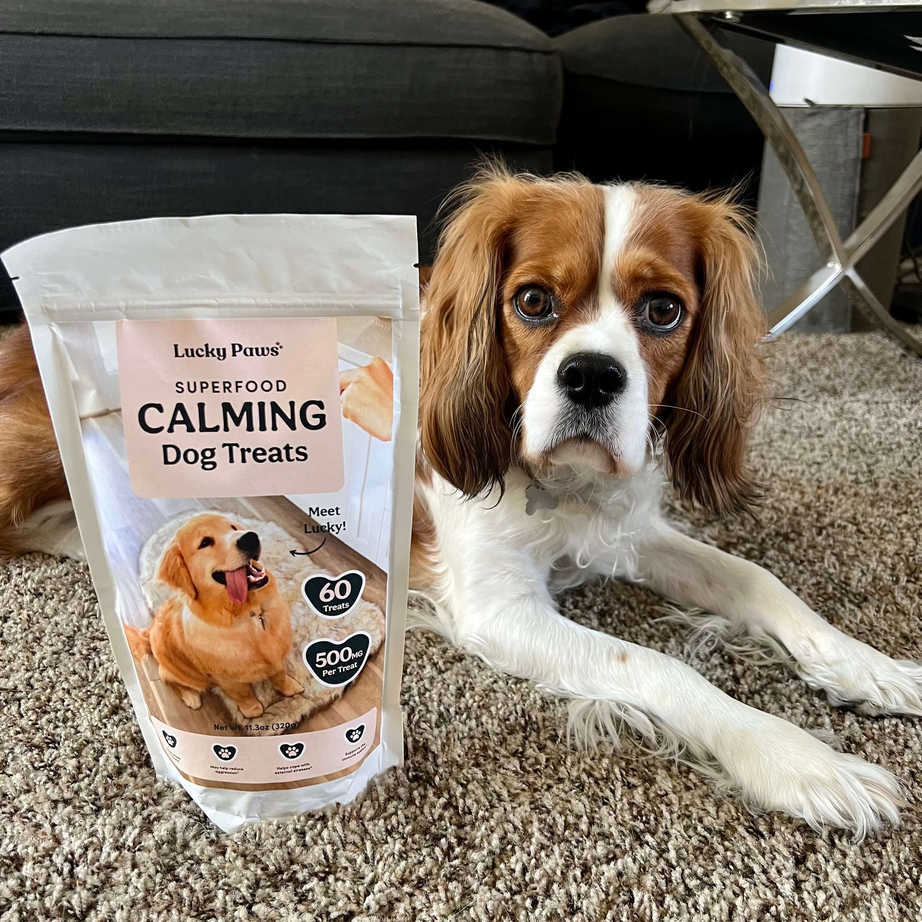 Superfood Calming Dog Treats for Anxiety Anti-Anxiety Dog Chews