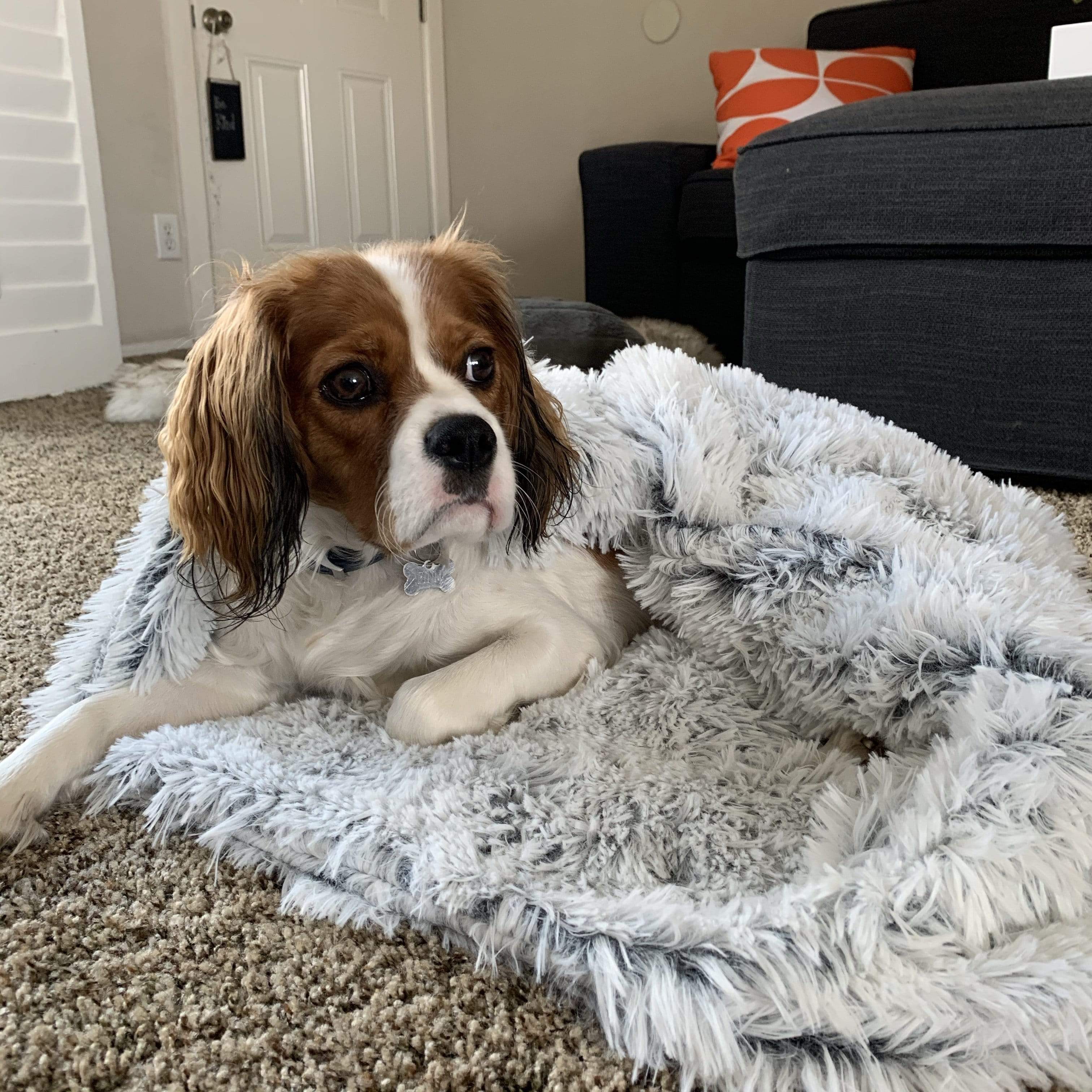 Cozy Cuddler Deep Sleep Calming Blanket Vegan Fur Soothing Throw Blanket for Dogs