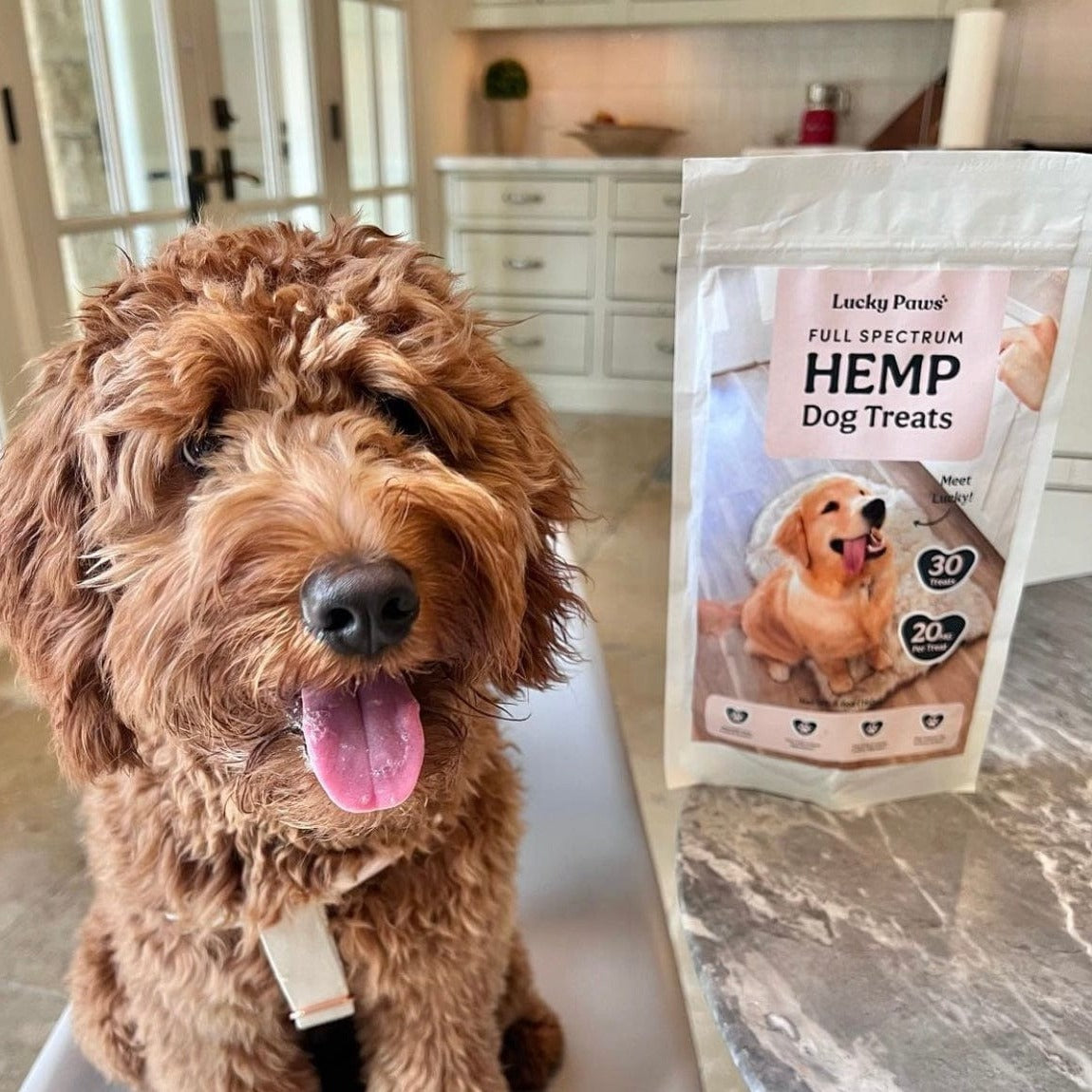 Lucky Paws - Full Spectrum Hemp Dog Treats