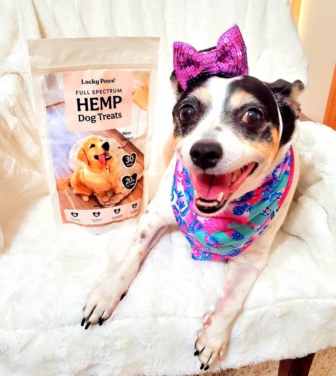 Lucky Paws - Full Spectrum Hemp Dog Treats