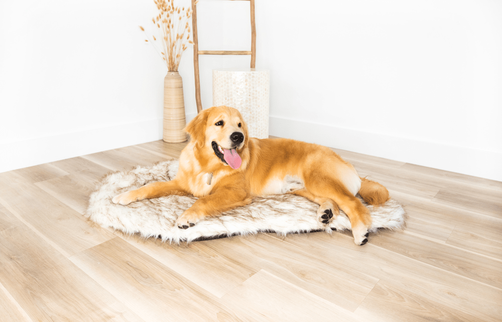 The Faux Fur Memory Foam Orthopedic Dog Bed Pet Cushion Dog Joint Pain Relief PupRug