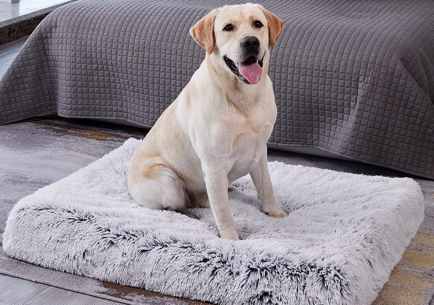 How to Keep Your Dog Off the Bed at Night or When You re Not Home