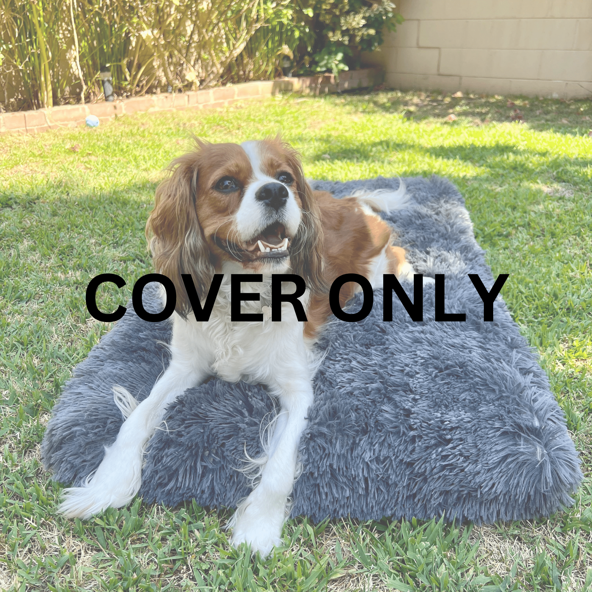 Replacement Covers for Pooch Pad - Orthopedic Calming Crate Bed