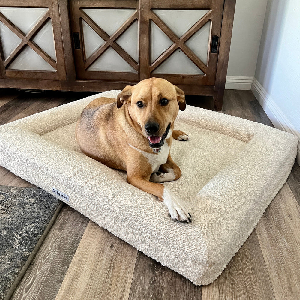 Image showcasing Bouclé Orthopedic Memory Foam Dog Bed Premium Bouclé Fabric Lucky Paws