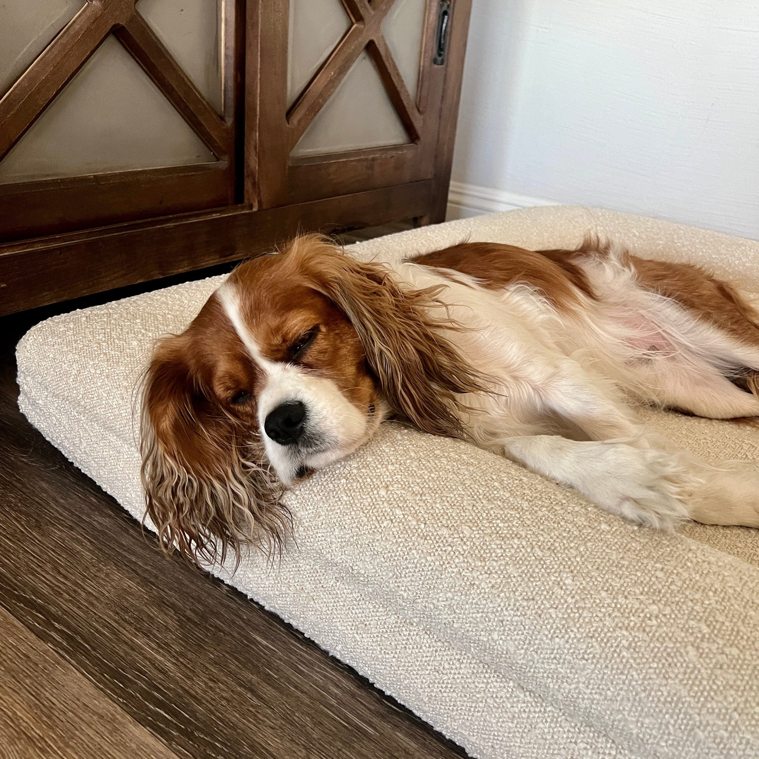 Curated visual reference: Visual Reference: Bouclé Orthopedic Memory Foam Dog Bed Premium Bouclé Fabric Lucky
