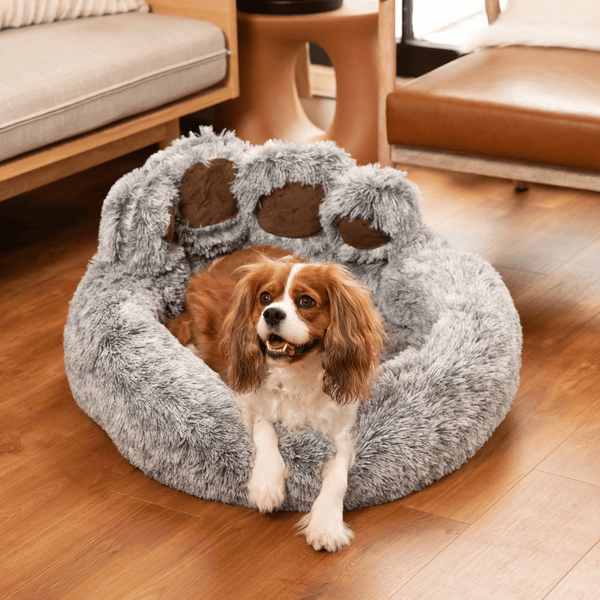 Calming Paw Dog Bed AntiAnxiety Orthopedic Paw Bed for Dogs Comfy Fur
