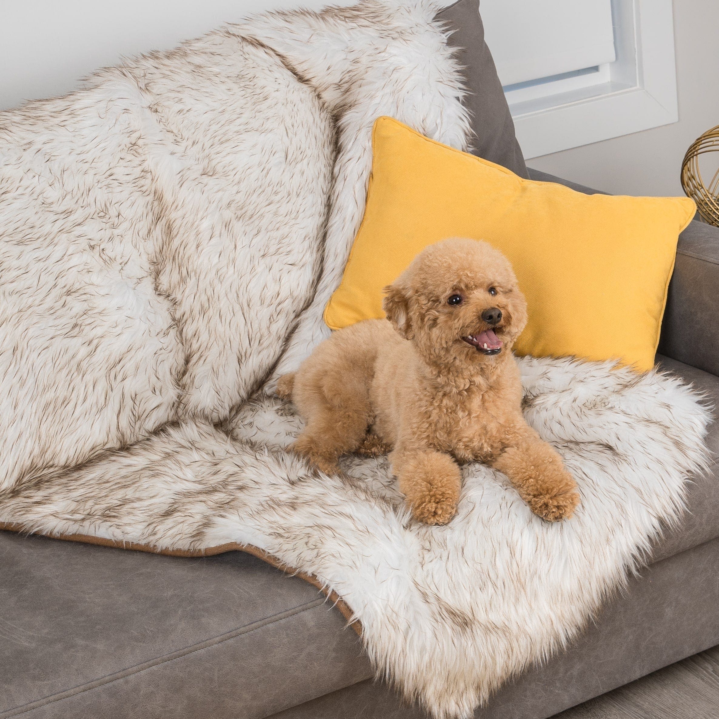 Lucky Paws - The Best Orthopedic Pet Beds