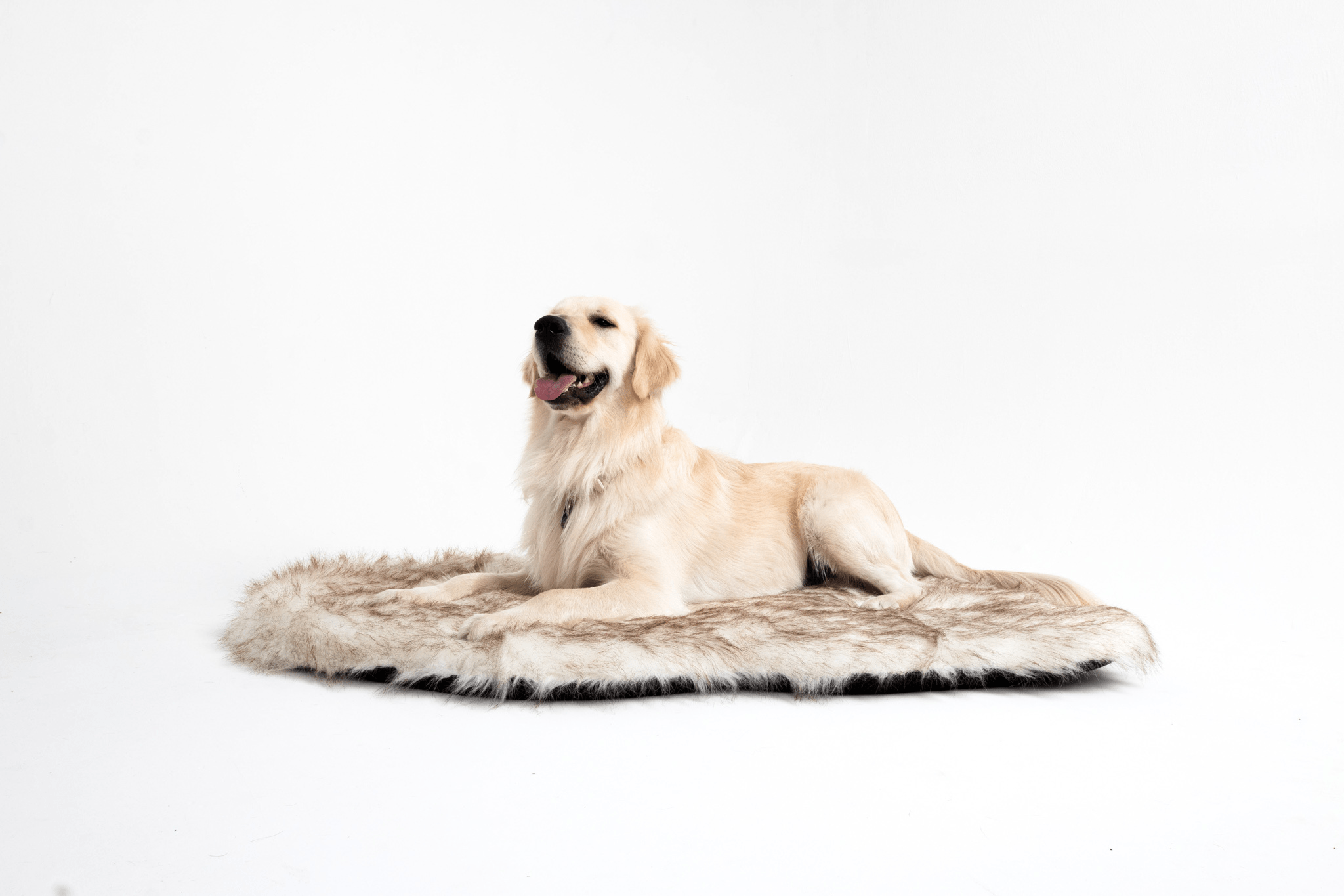 The Faux Fur Memory Foam Orthopedic Dog Bed Pet Cushion Dog Joint Pain Relief PupRug