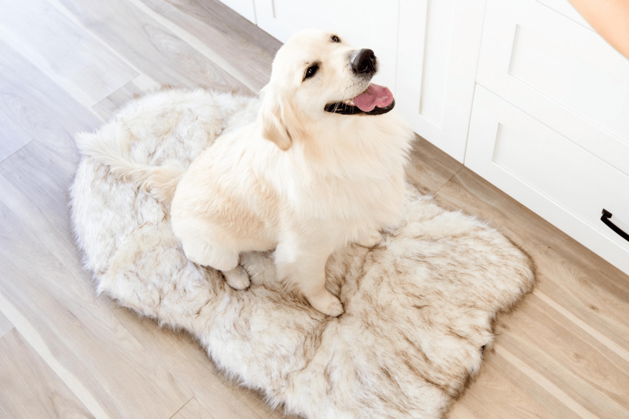 The Faux Fur Memory Foam Orthopedic Dog Bed Pet Cushion Dog Joint Pain Relief PupRug