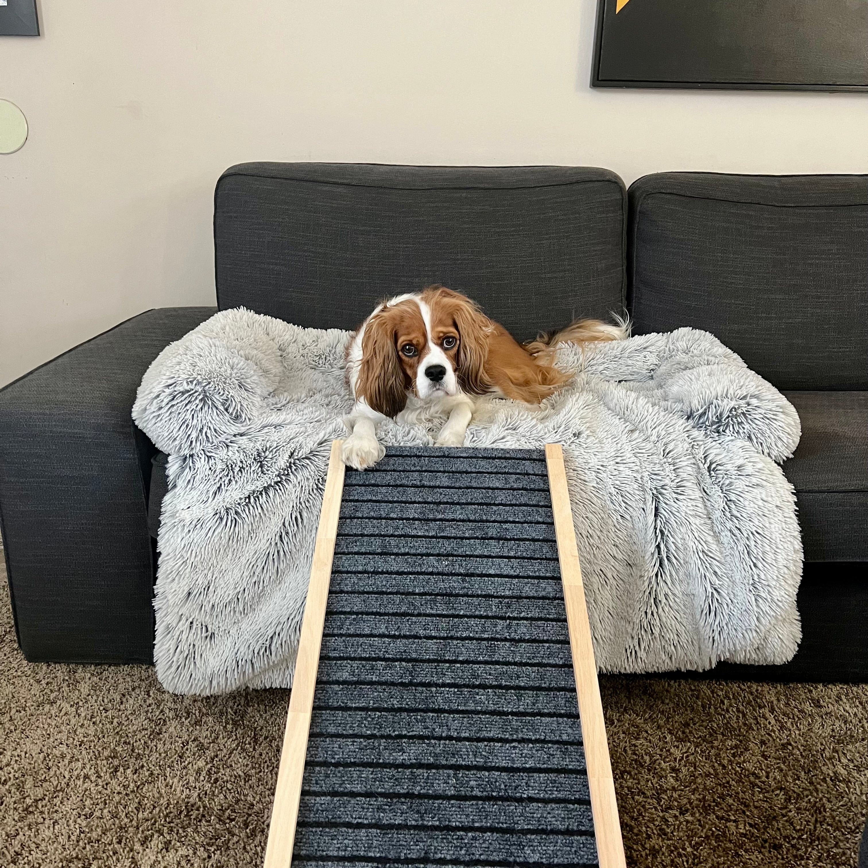 Dog Ramp for Bed & Couch Furniture Adjustable Non-Slip PupRamp PawRamp