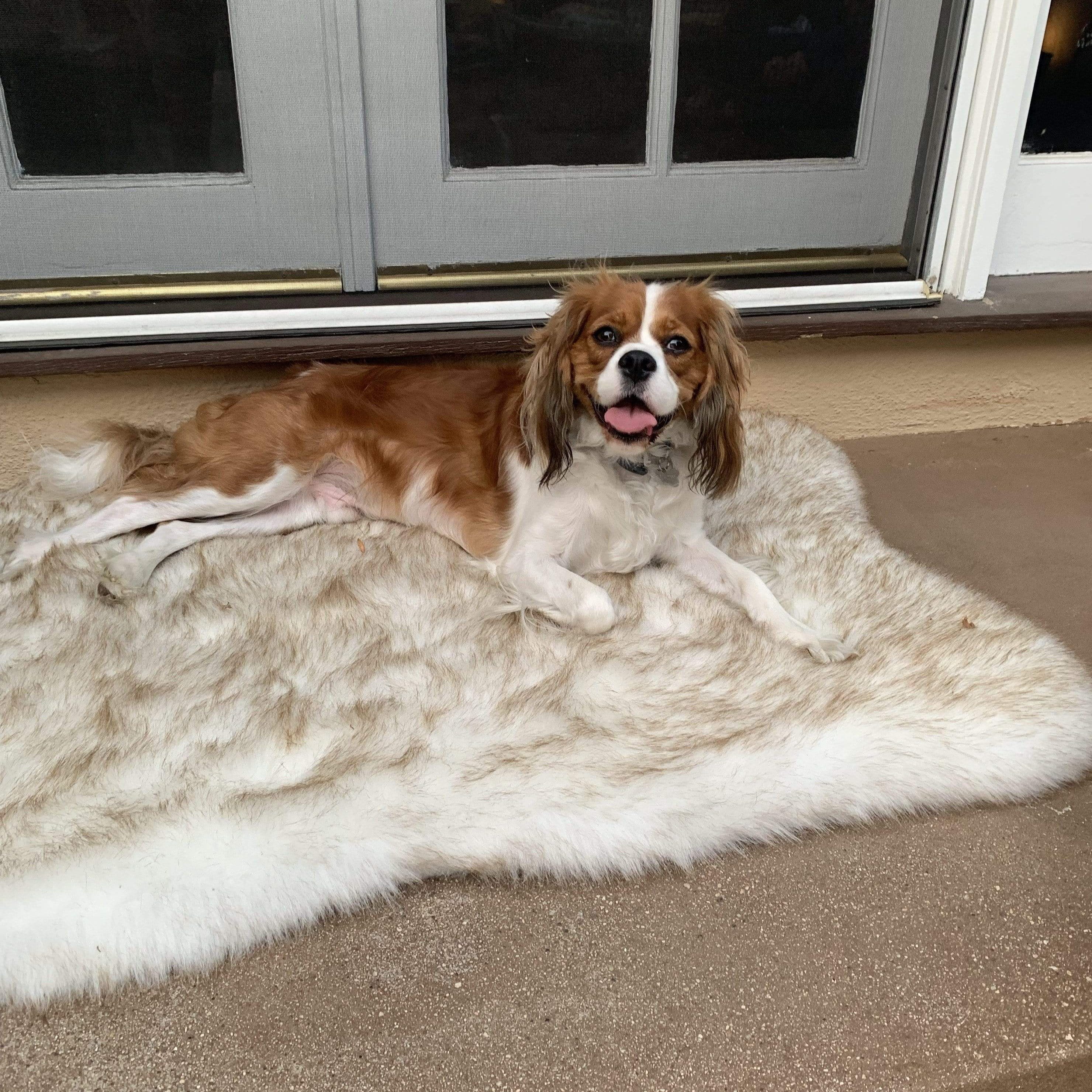 The Faux Fur Memory Foam Orthopedic Dog Bed Pet Cushion Dog Joint Pain Relief PupRug