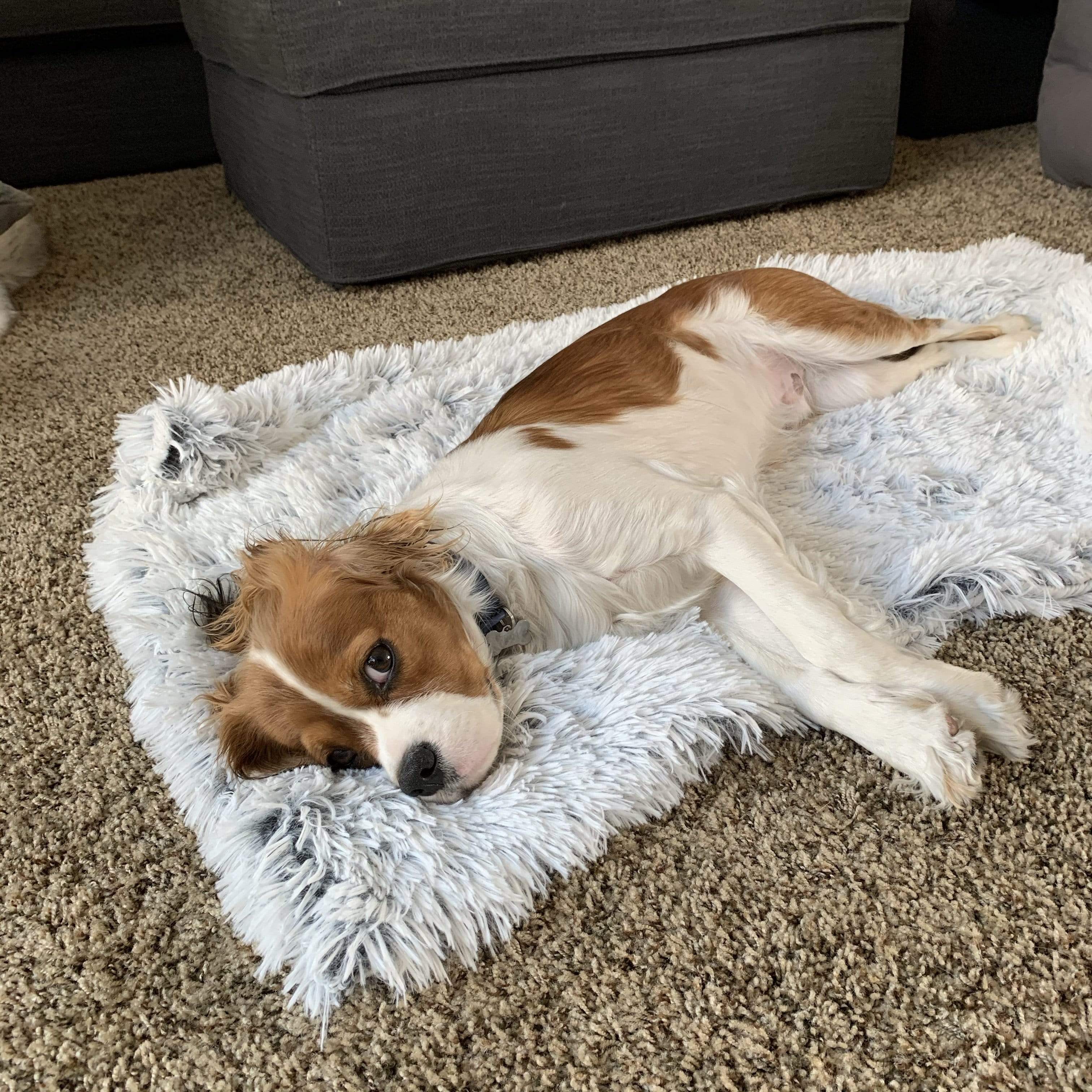 Cozy Cuddler Deep Sleep Calming Blanket Vegan Fur Soothing Throw Blanket for Dogs